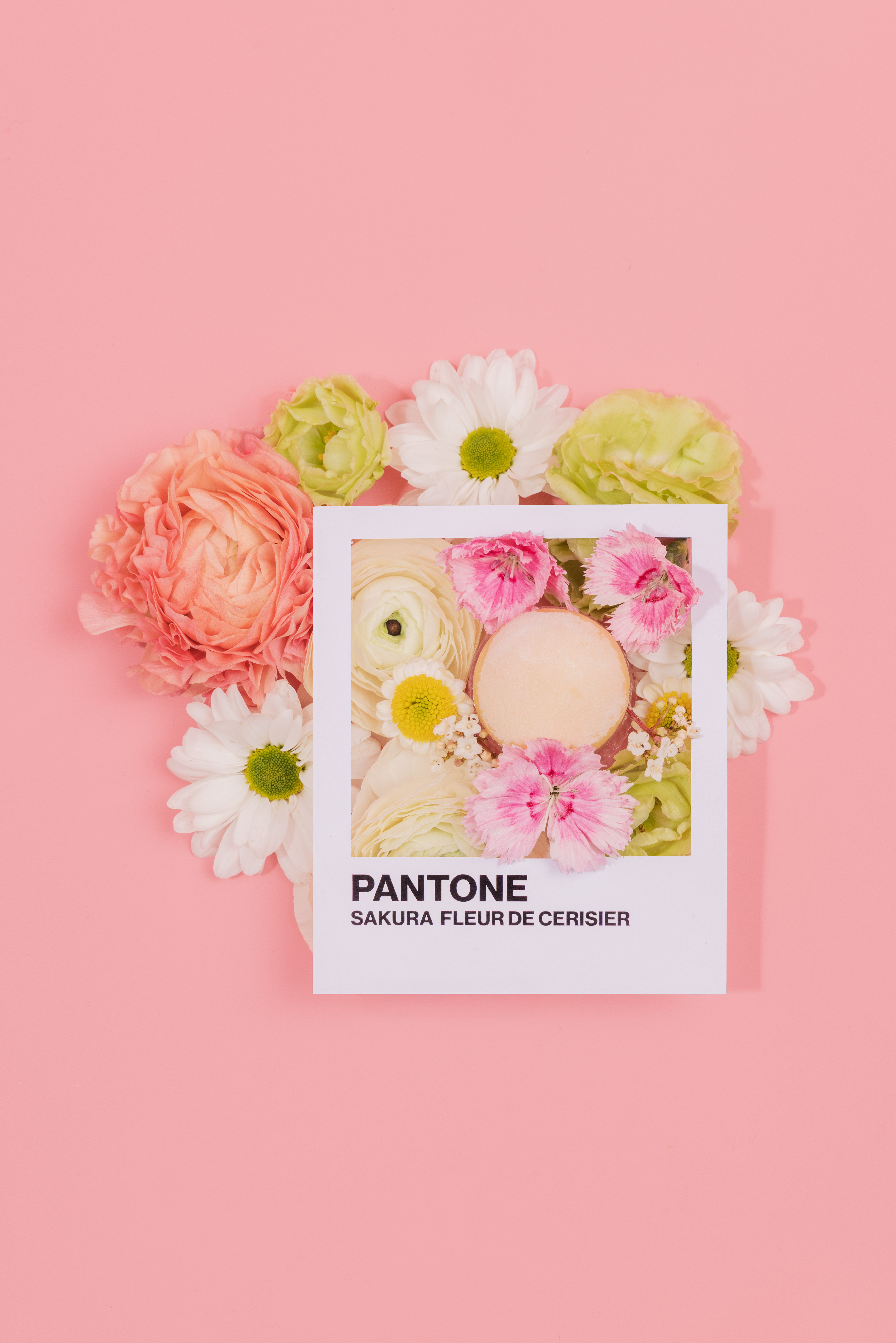 Qu'est ce que le nouvel an chinois / 